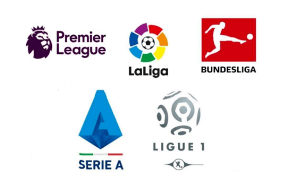 年轻人有机 年轻人有机